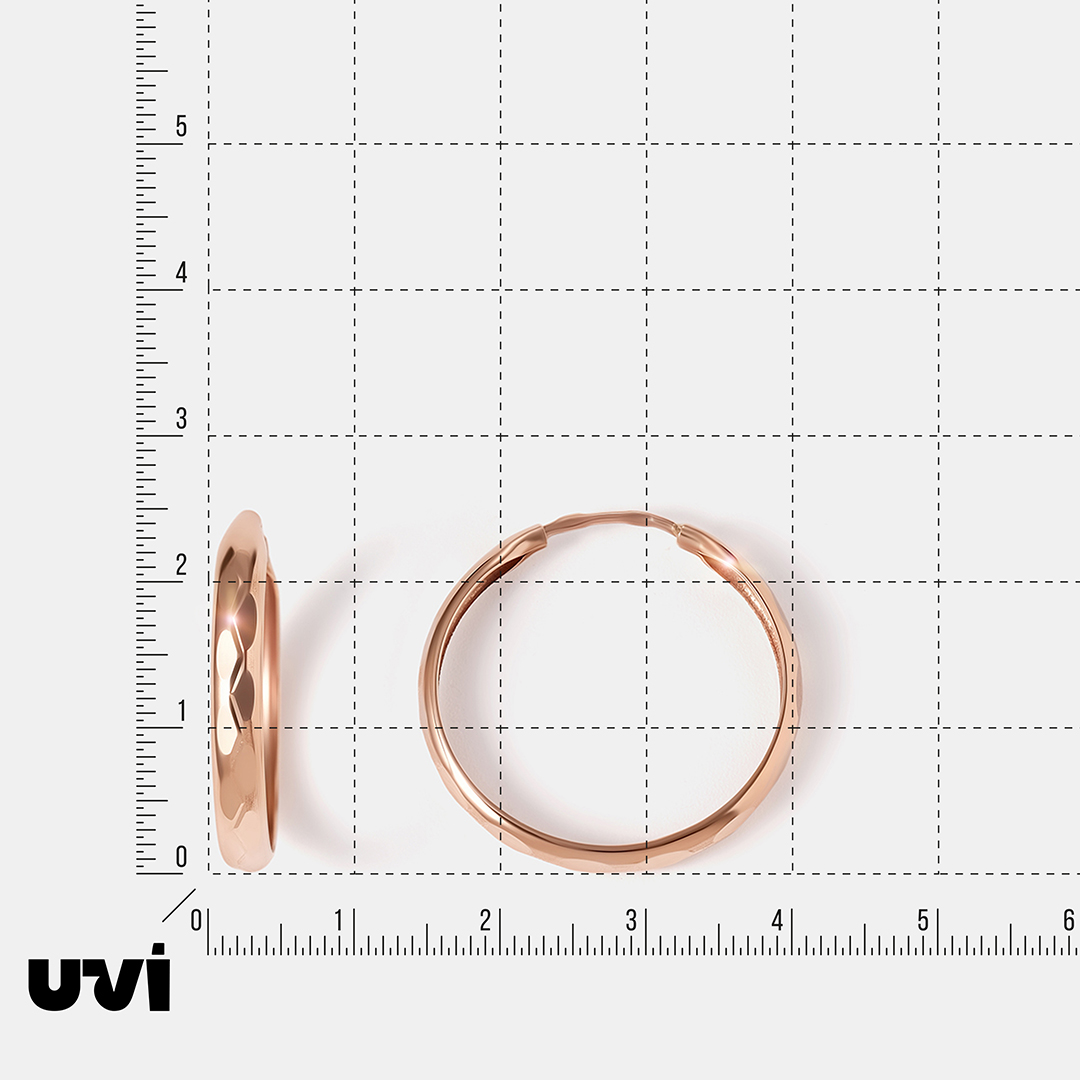 10519-000817 Серьги (Au 585)