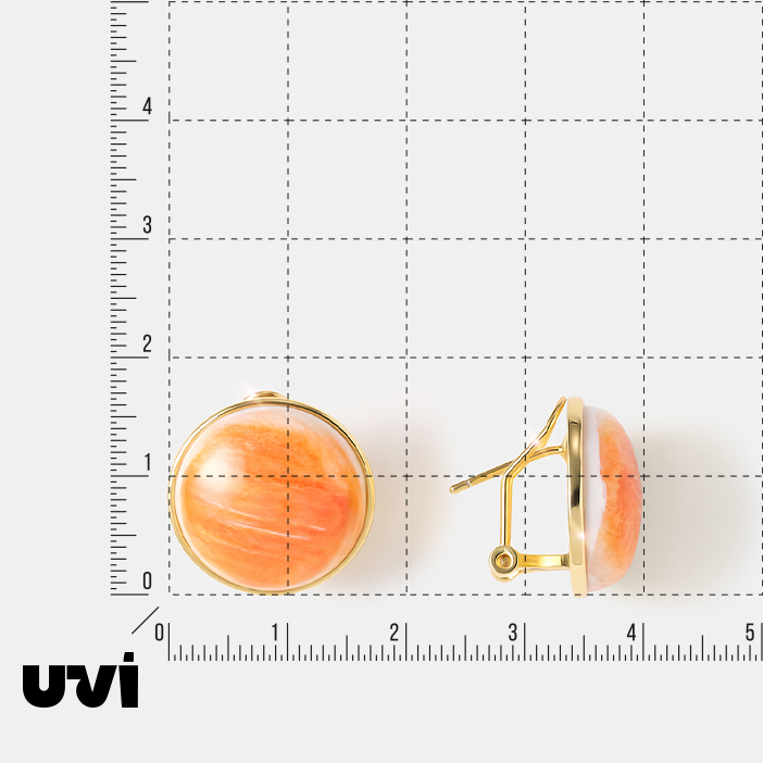 10522-004563 Серьги (Ag 925)