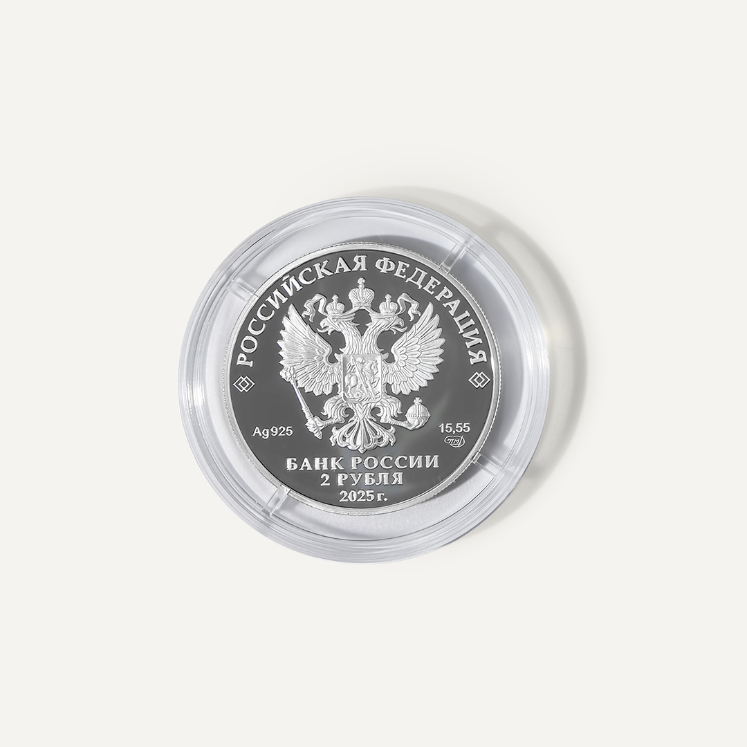 14229-000019 Монеты (Ag 925)