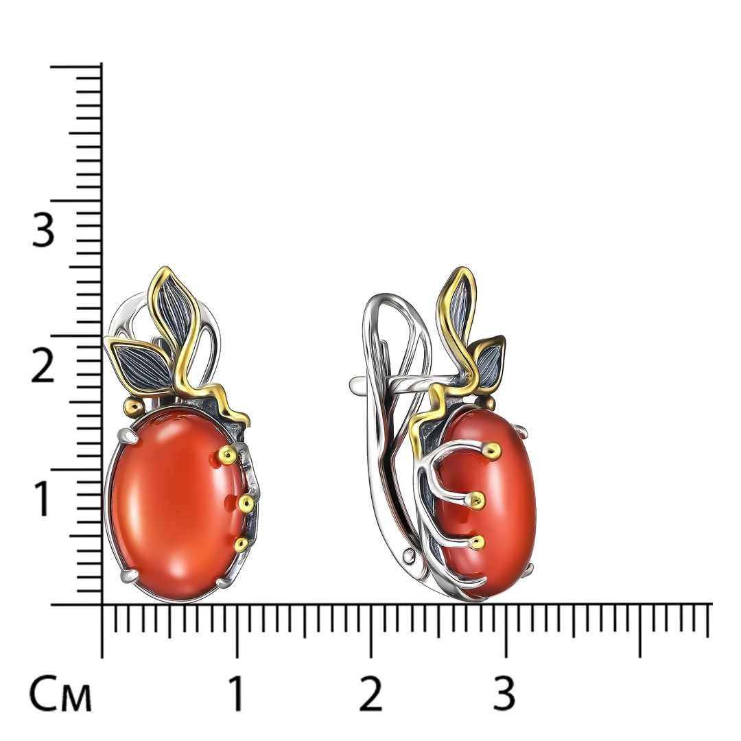 Серебряные серьги с сердоликом