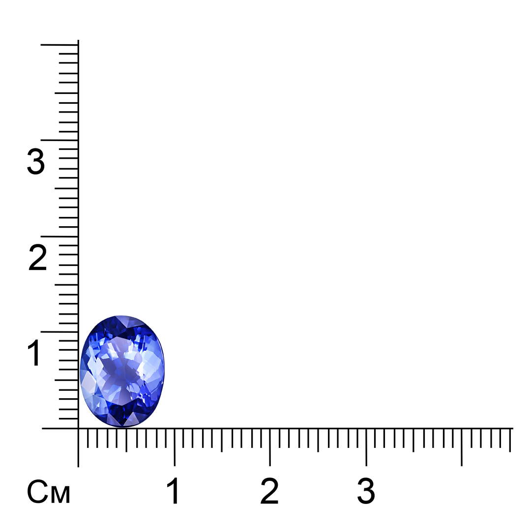Танзанит овал (10,30*8,04*6,47) 3,84ct