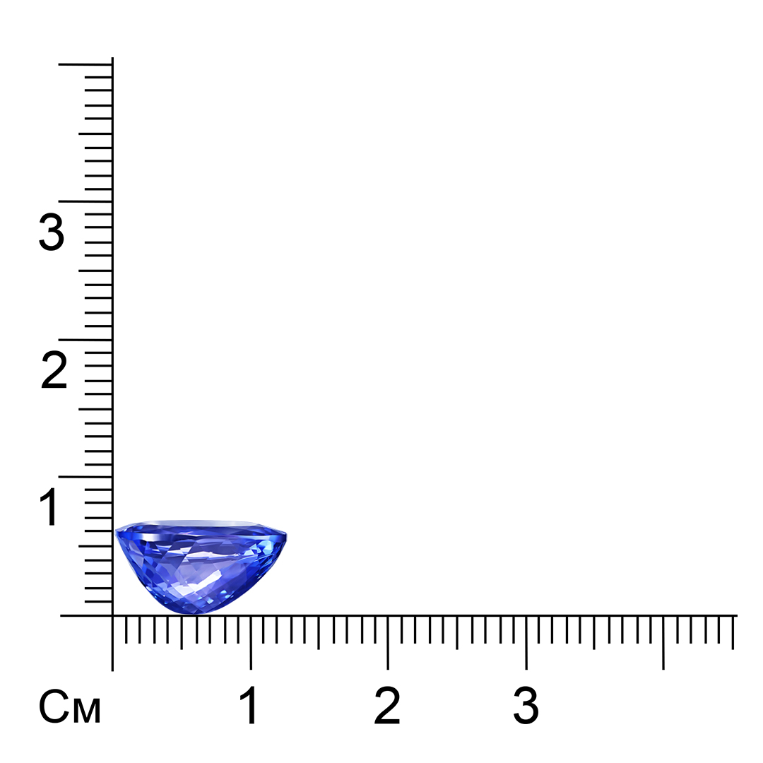 Танзанит овал (11,32*8,49*6,08) 4,0ct
